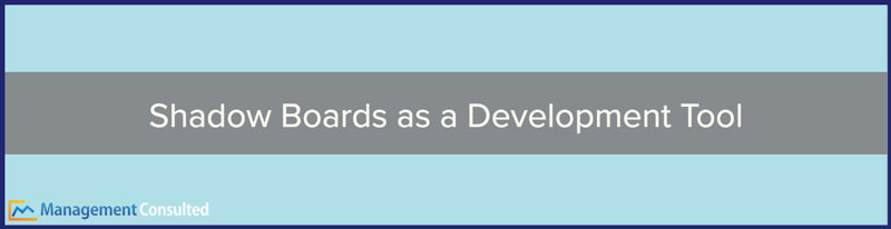 Shadow Boards, Shadow Boards as a Development Tool